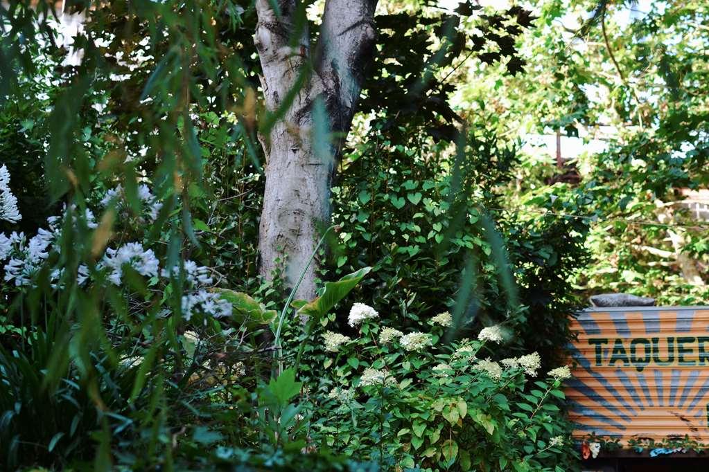Palacio De Aviles Affiliated By Melia Εστιατόριο φωτογραφία The tree in 2014